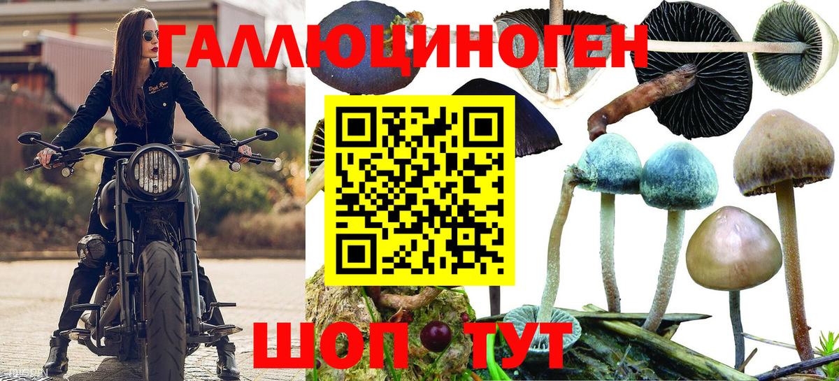 Галлюциногенные грибы MAGIC MUSHROOMS Ленинск-Кузнецкий